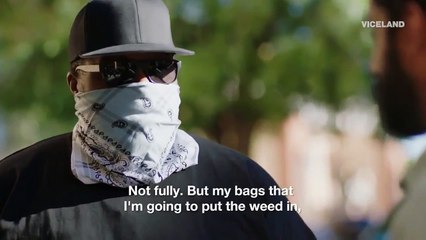 Weediquette - Se3 - Ep03 - Pot Pipeline HD Watch