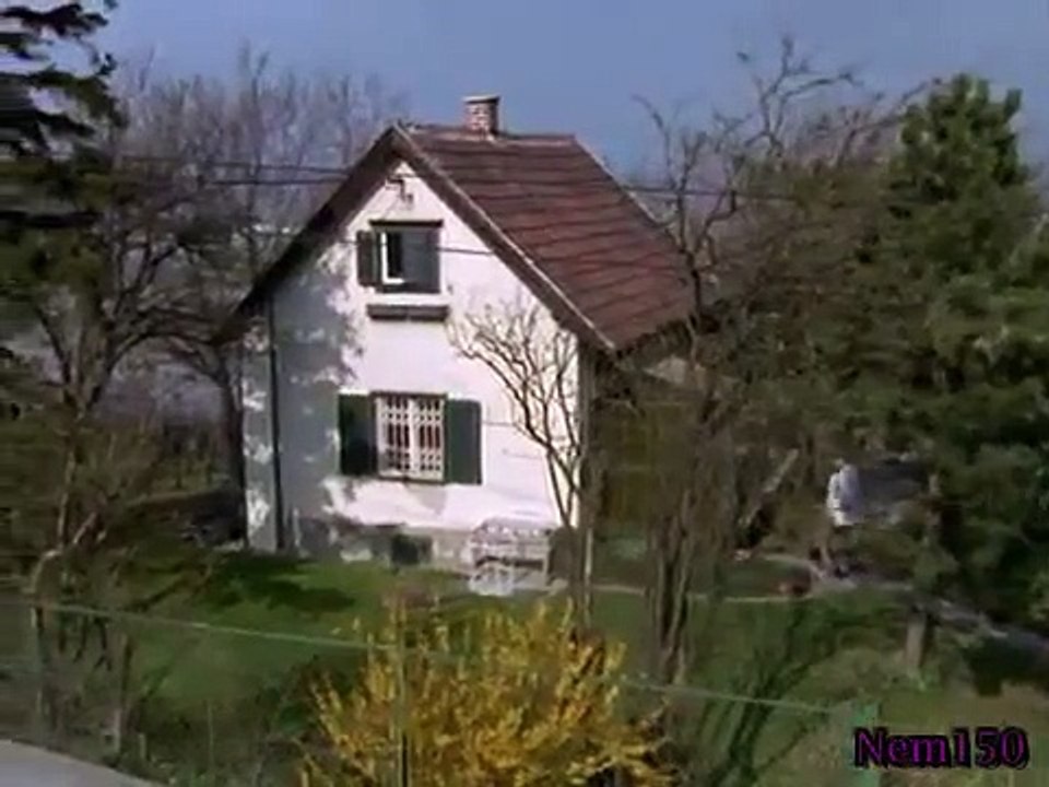 Rex - A Cop's Best Friend - Se8 - Ep06 HD Watch