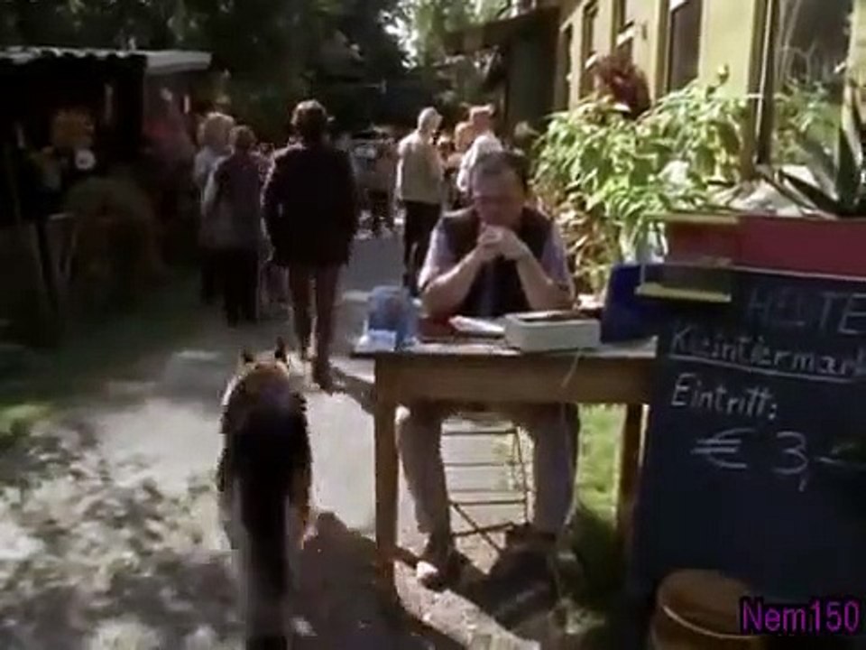 Rex - A Cop's Best Friend - Se9 - Ep03 HD Watch