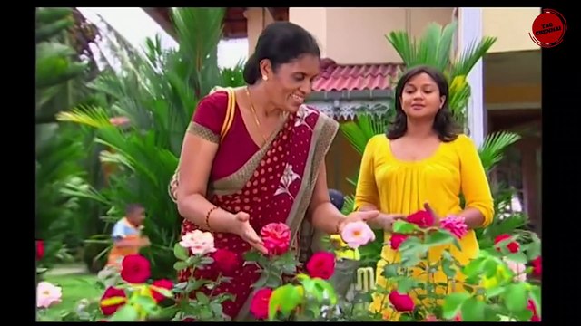 World's FUNNIEST COMMERCIALS EVER MADE - You Can't Stop Laughing | PART-1#funny #comedy #commercial