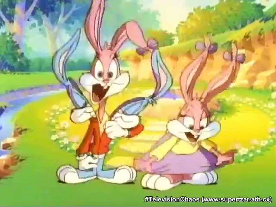 Tiny Toon Adventures - Se2 - Ep12 HD Watch