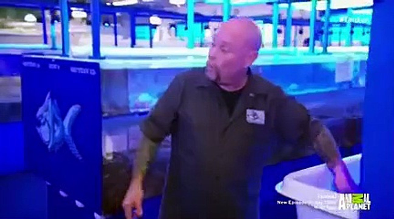Tanked - Se8 - Ep11 HD Watch