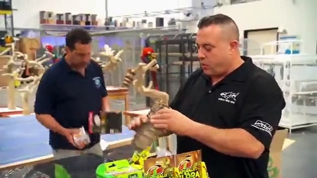 Tanked - Se9 - Ep06 HD Watch