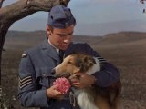 El Hijo De Lassie 1945 Español Latino - Son Of Lassie