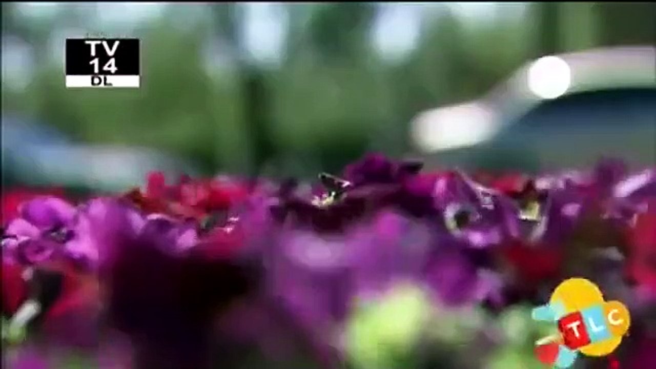 Leah Remini - It's All Relative - Se2 - Ep10 HD Watch