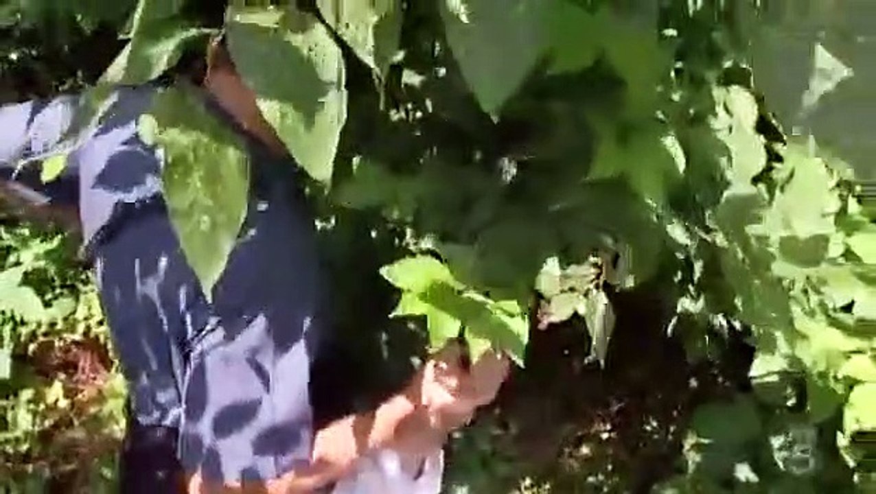 Cops - Se20 - Ep15 HD Watch