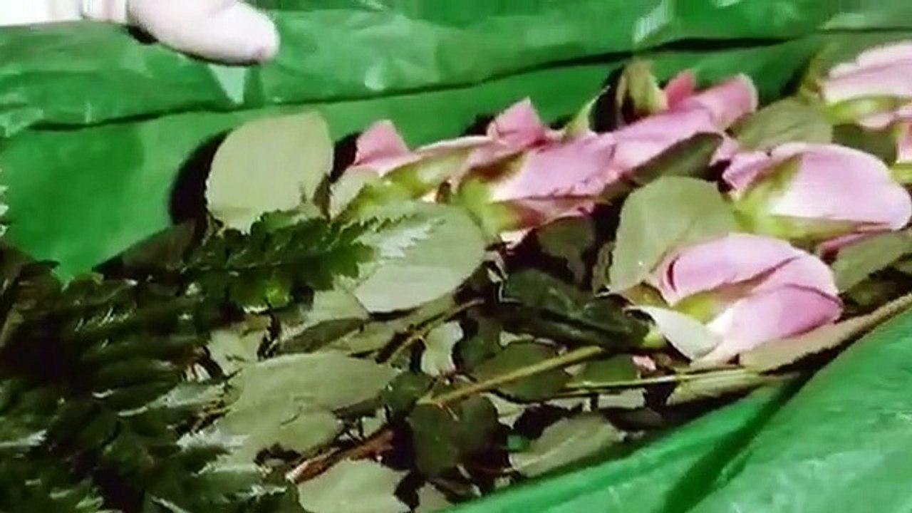 FBI - Criminal Pursuit - Se1 - Ep05 - I've Been Watching You HD Watch