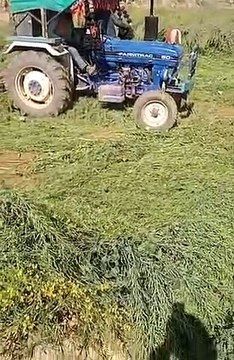 खीपकापुरा गांव में पुलिस प्रशासन की कार्रवाई...सरकारी भूमि पर कब्जा कर बोई सरसों व गेहूं की फसल को ट्रैक्टरों से किया नष्ट