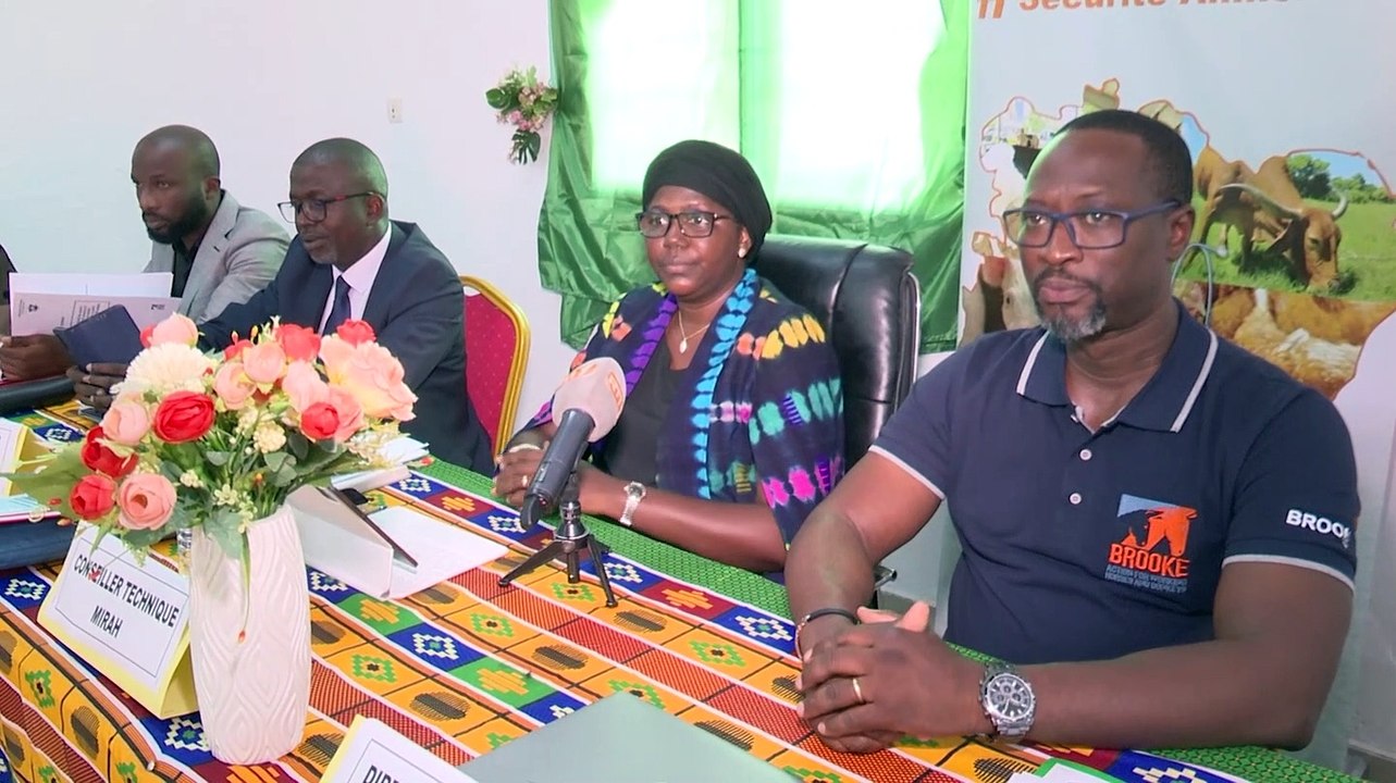 ressources animales formation sur le bien etre des equides