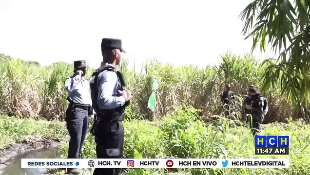 ¡Espantoso! Desmembrado hallan cadáver de un joven en cañeras de Villanueva, Cortés