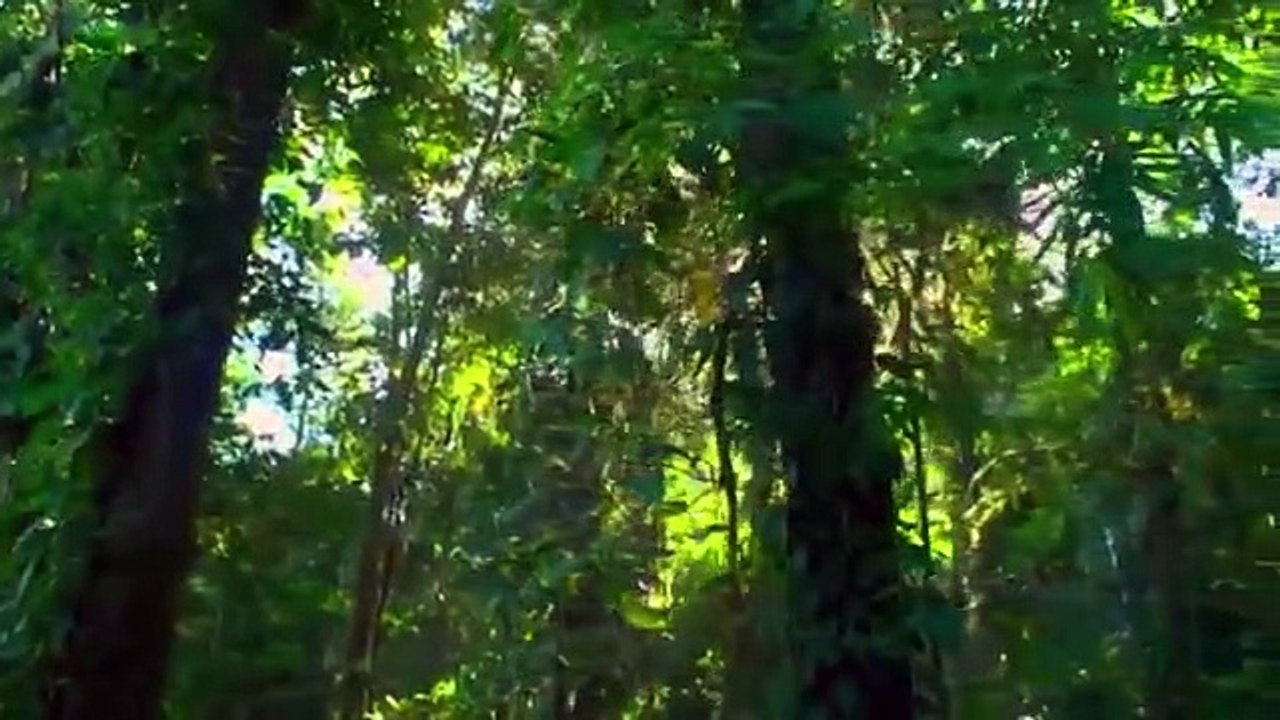 Mysteries of the Missing - Se1 - Ep05 - Forbidden City of Gold HD Watch