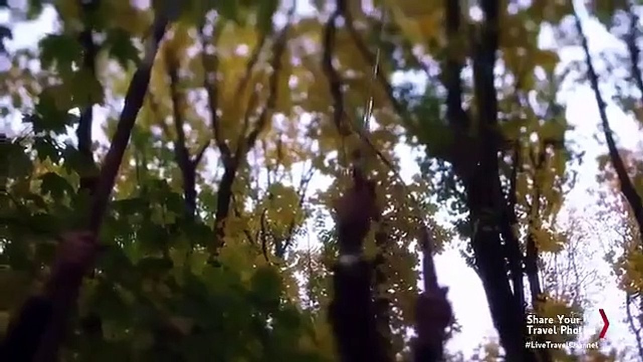 Mysteries at the Museum - Se9 - Ep10 HD Watch