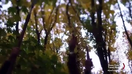 Mysteries at the Museum - Se9 - Ep10 HD Watch