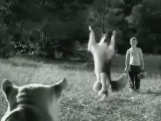 Dont Watch if you hate to LAUGH(HA HA)
