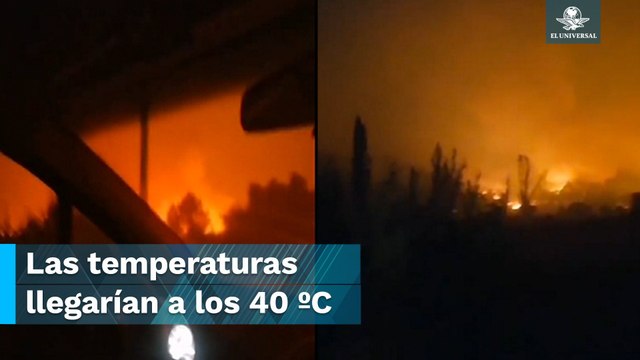 Azota el centro de Chile incendio forestal y deja cuatro muertos