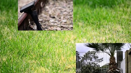 Cyclical | movie | 2016 | Official Trailer