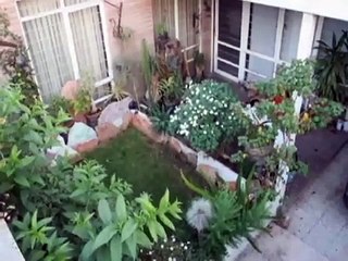 She dreamt, we dreamt | movie | 2007 | Official Trailer