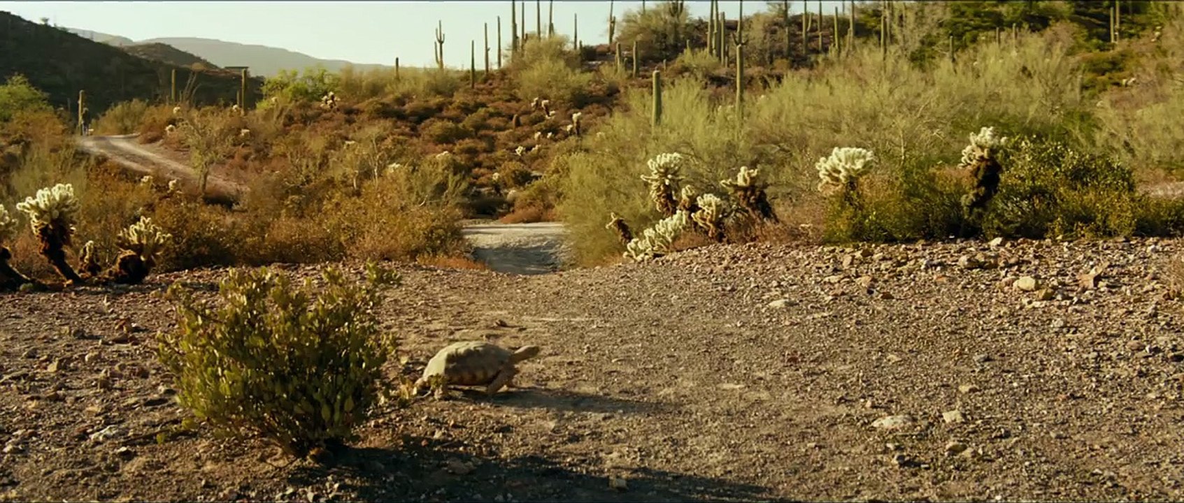 Lucky | movie | 2017 | Official Trailer