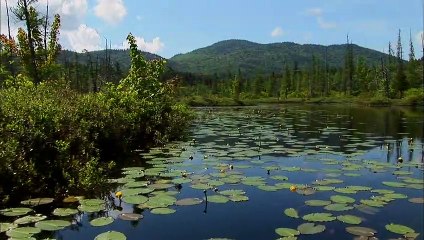 The Adirondacks | movie | 2008 | Official Trailer