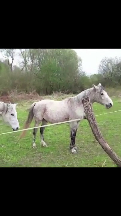 Cycling - Rural roads of Marija Bistrica, excursion - Excursions / Tours / Activities, Zabok (Marija Bistrica)