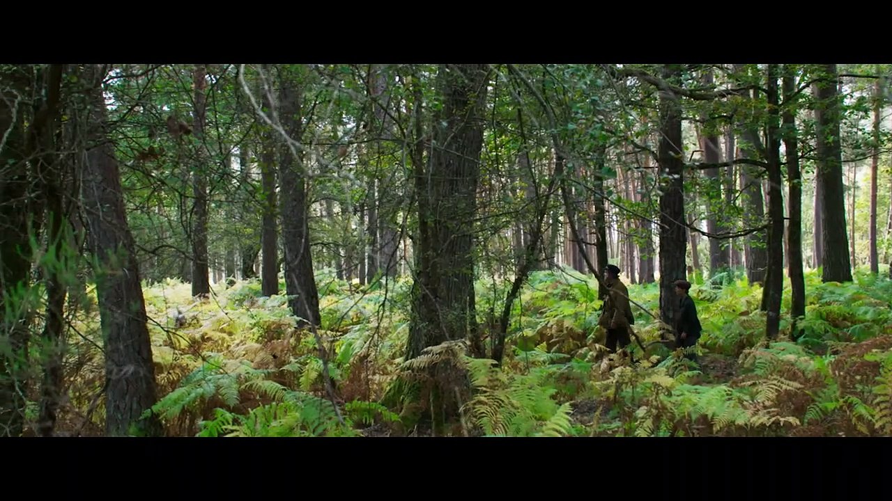 Paul und die Schule des Lebens | movie | 2017 | Official Trailer