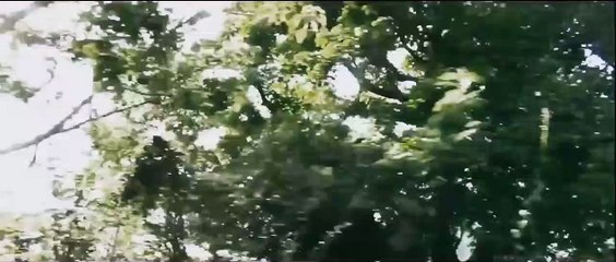 Everything Is Broken Up and Dances | movie | 2017 | Official Trailer