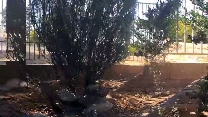 All Those Things | movie | 2017 | Official Trailer