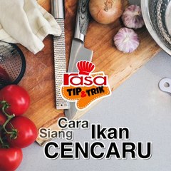 Cara Siang Ikan Cencaru  TIp & Trik
