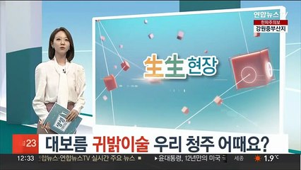 대보름 귀밝이술 우리 청주 어때요?