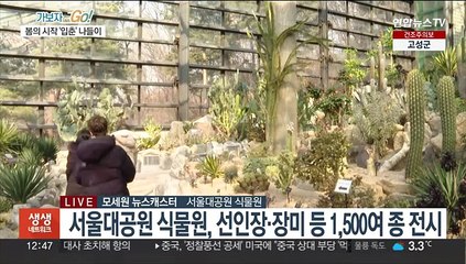 봄의 길목 입춘…식물원으로 이른 봄나들이