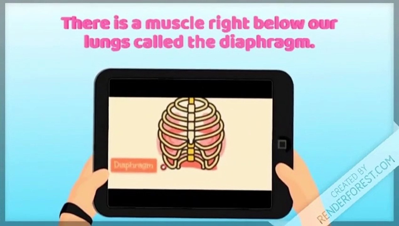 Why do we get hiccups What causes the HIC! Sound Ways to stop hiccups