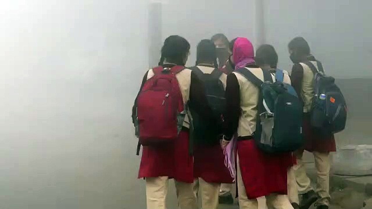 video प्रदेश के साथ जिले में भी फिर से बढ़ा ठंड का दौर, कोल्ड वेव की आशंका