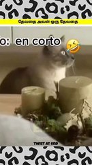 Angel She is an angel