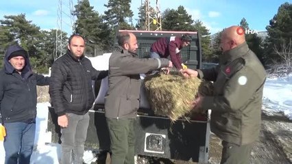 Vali Yılmaz çocukları ile birlikte doğaya yem bıraktı