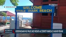 Keberadaan Hiu Paus Jadi Wisata Alterntif Warga di Akhir Pekan
