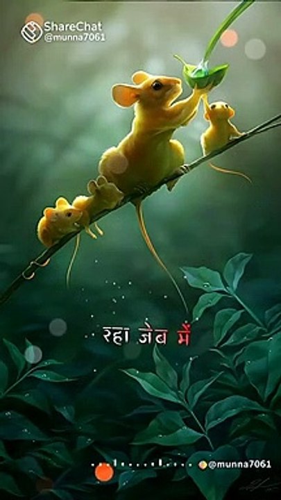 c3The bakwas tag, The bakwas motivational, The motivational video, Comedy video, Funny jokes video, Song, American comedy, Indian comedy, Comedy, Facebook statusWhatsApp WhatsApp, , All status Instagram status, Bhakti song, Comedian song, New musical song