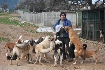'GÖZYAŞI ÇİFTLİĞİ' CAN DOSTLARA YUVA OLDU