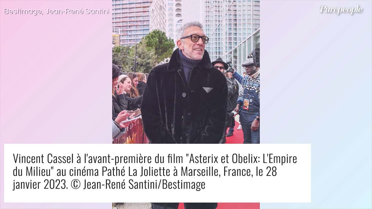 Vincent Cassel et Marion Cotillard dévoilent la raison pour laquelle Zlatan n'aurait pas dû être à l'affiche d'Astérix !
