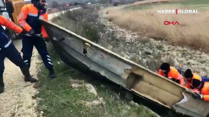 İstanbul'un su ihtiyacını karşılayan barajlardan çıkanlar hayrete düşürdü!