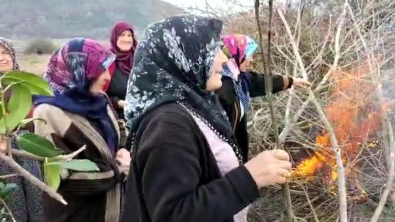 Amasya Çambükü'nde Organize Sanayi Bölgesi Planına Karşı Direnen Kadınlar, Mahkemenin Durdurma Kararının Ardından Mera Alanlarına Meyve Fidan Dikti