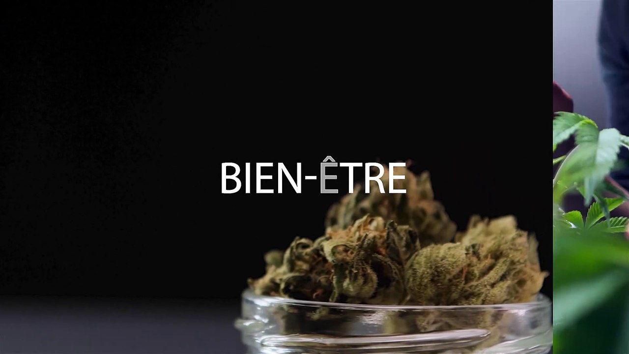 Promo Lord Of CBD
