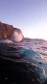 Une baleine à bosse s'approche des plongeurs - Buzz Buddy