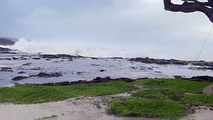 La tempête sur la péninsule de Monterey envoie les golfeurs courir - Buzz Buddy