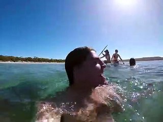 Une baleine se lie d'amitié avec des humains - Buzz Buddy