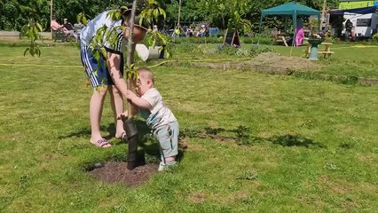 Ce bébé aime les arbres - Buzz Buddy