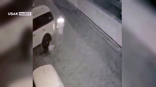 Uşak'ta park halindeki cip, benzin dökülerek yakıldı