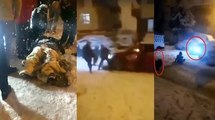 Ankara’da karda poşetle kayan 2 kadına otomobil çarptı