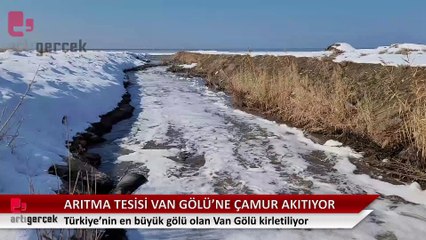 Arıtma tesisi Van Gölü'ne çamur akıtıyor