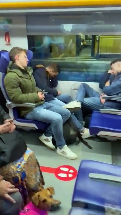 Sleeping Past Their Stop