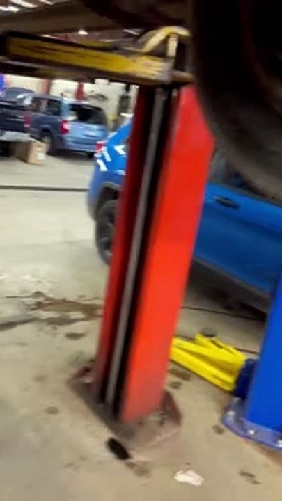 Surprise Squeaking Noise